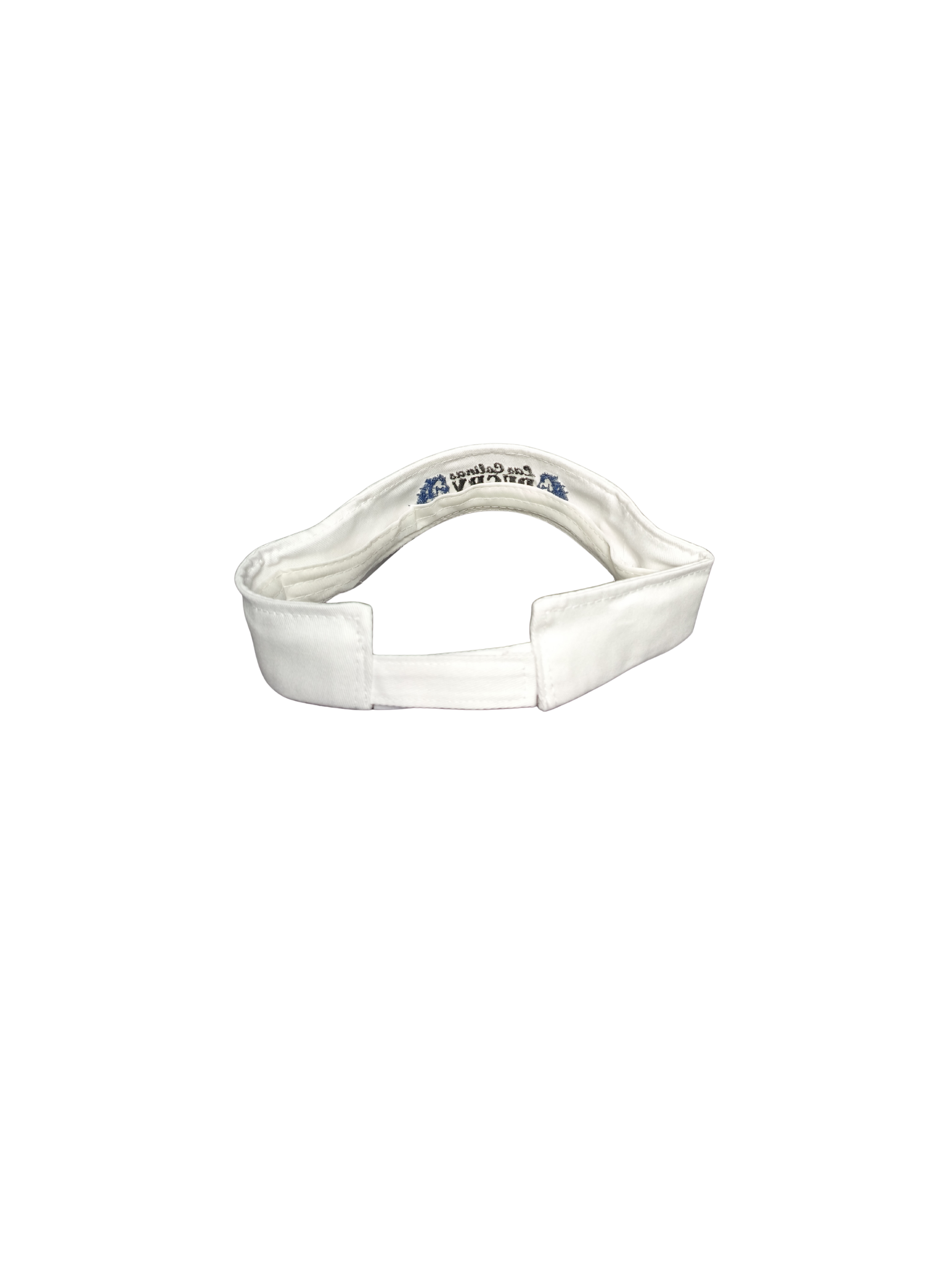 Mustang Visor